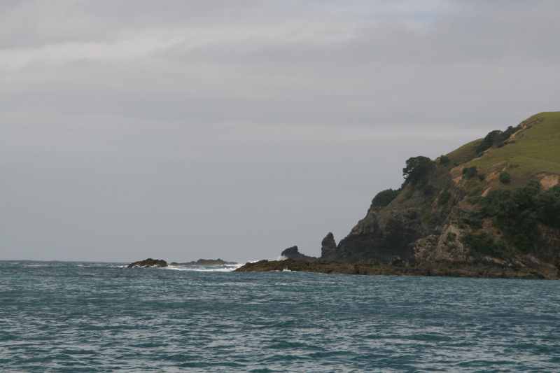 Nieuw-Zeeland 2011 - 0213